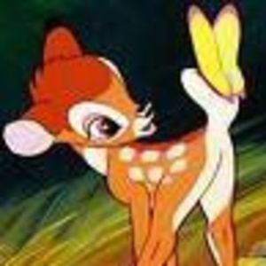 Meet your Posher, Ann-marie